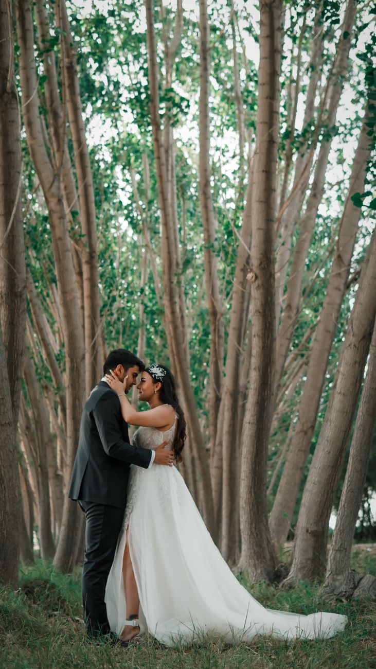 Bride and groom embrace amongst tall trees, creating a romantic and intimate wedding portrait.